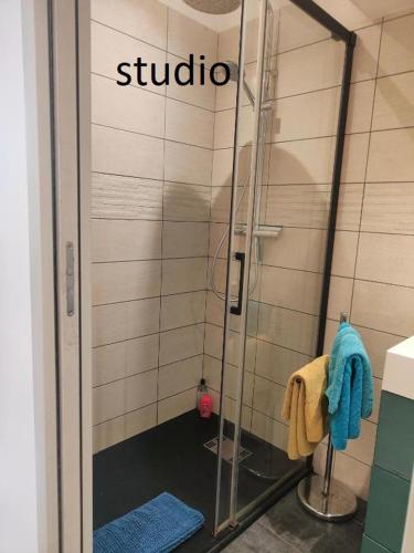 una ducha con puerta de cristal en un baño en Studio Hikoki, en Dinan