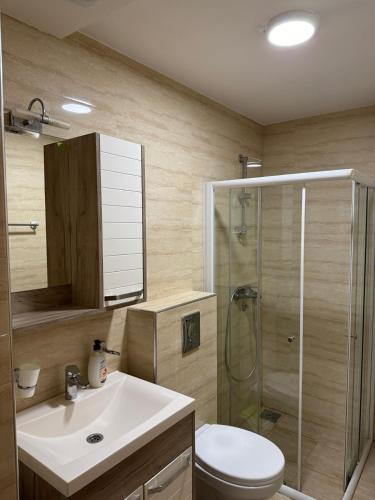 Koupelna v ubytování Olimp apartmani Sokobanja