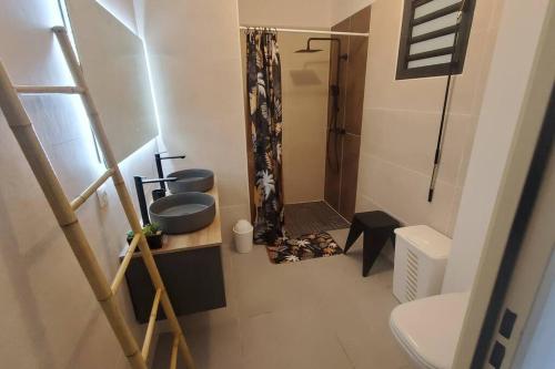 a bathroom with a shower and a sink and a toilet at Clairs Moments in Saint-Pierre