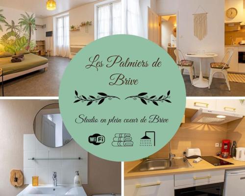 Les palmiers de Brive