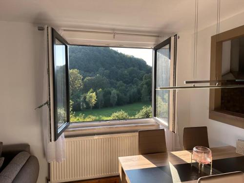 salon z dużym oknem z widokiem w obiekcie Ferienwohnung Böhrer im schönen Leinleitertal w mieście Veilbronn