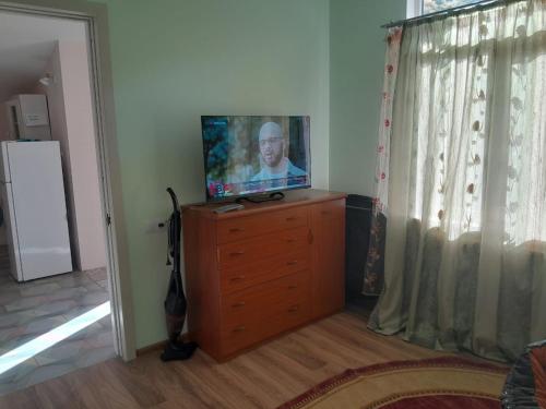 TV a/nebo společenská místnost v ubytování Ananuri veranda guest house