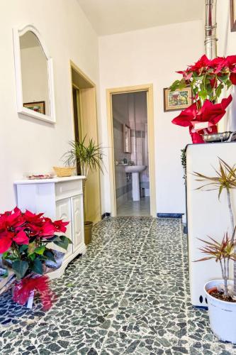 Fotografie z fotogalerie ubytování Apartment Ambra by Interhome v destinaci Santa Luce
