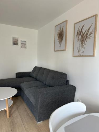 Posezení v ubytování Apartament nad jeziorem AN