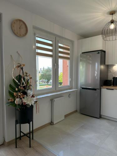 Kuchyň nebo kuchyňský kout v ubytování Apartament nad jeziorem AN