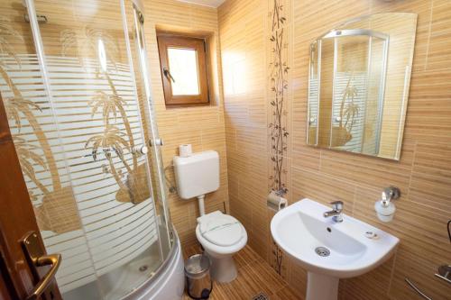 a bathroom with a toilet and a sink and a shower at Cabana Dan Arieseni in Arieşeni