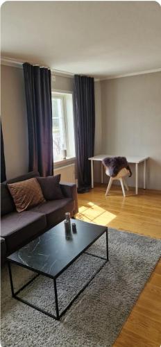 a living room with a couch and a table at Lägenhet i smedby in Norrköping