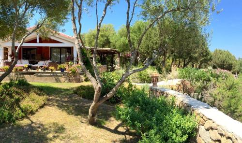 una casa con giardino e muro di pietra di Domus de Rocas Holiday House a Porto Rotondo