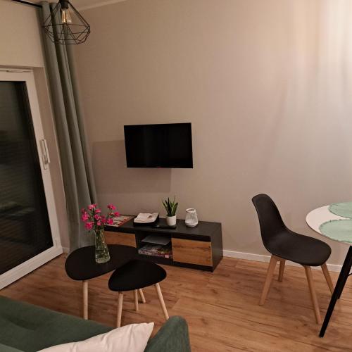 a living room with a tv on a wall at Karłowy Las in Milicz