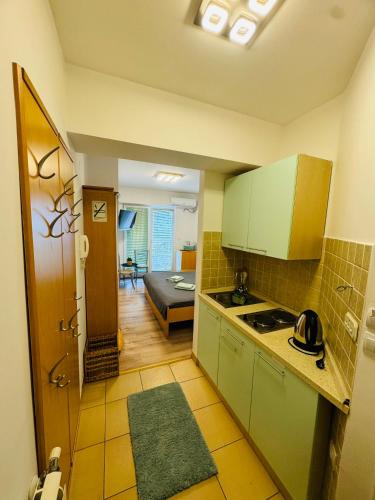 una cucina con mobili verdi e un soggiorno di Calvin Apartment 9 a Ohrid
