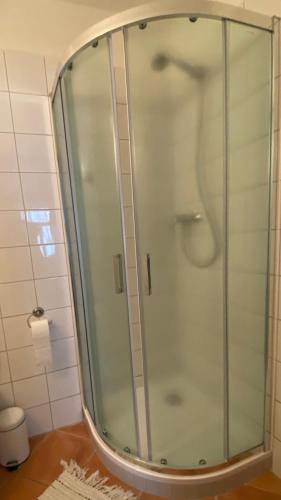 a shower with a glass door in a bathroom at Penzion Panská in České Budějovice