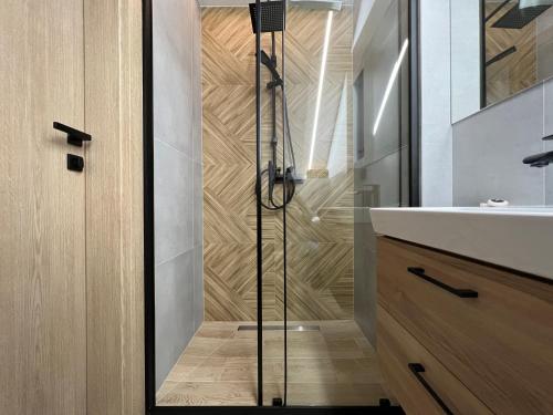 a glass shower in a bathroom with a sink at Apartamenty Spacerowa 33 in Wisła