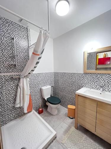 une salle de bain avec une douche, des toilettes et un lavabo dans l'établissement le zely, à Vézeronce
