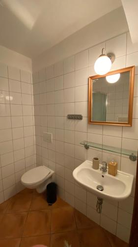 a bathroom with a sink and a toilet and a mirror at Penzion Panská in České Budějovice