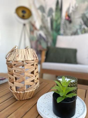 a table with a basket and a potted plant on it at ღ Le Moana - Cocon climatisé au cœur de Montélimar in Montélimar