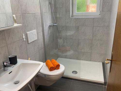 a bathroom with a shower and a toilet and a sink at Apartment Ache in Achenkirch - Zentrum in Achenkirch