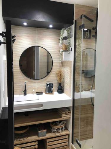 une salle de bain avec un lavabo, un miroir et une douche dans l'établissement Appartement 3 pièces style chalet proximité pistes, à Pralognan-la-Vanoise