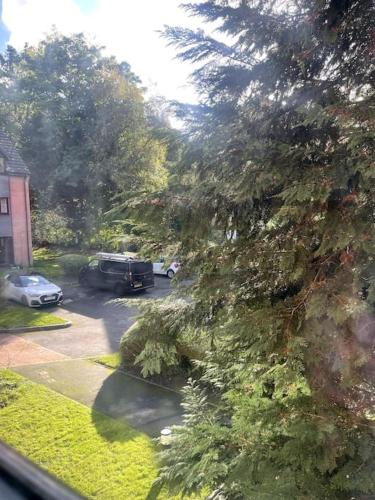 a view from a window of a parking lot with a tree at 2 Bedroom Flat Bracknell Free Parking in Bracknell