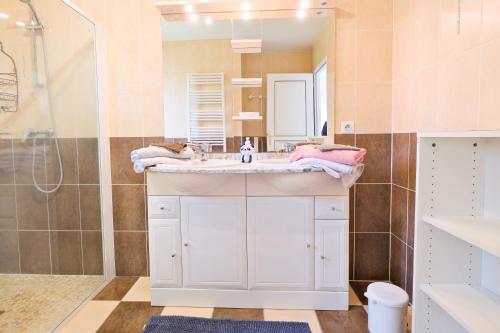 a bathroom with a sink and a shower at Le Barradis avec Piscine et Clim in Savignac-les-Églises