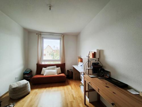 un salon avec un canapé et une fenêtre dans l'établissement Spacieux appartement lumineux, à Colmar