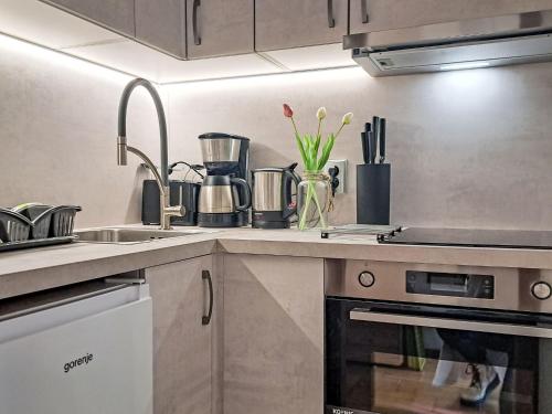 Kuchyň nebo kuchyňský kout v ubytování Apartment Top A45 by Interhome