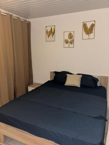 a bedroom with a bed with blue sheets and pictures on the wall at La Canopé - T2 calme et central avec son jacuzzi in Rémire-Camp