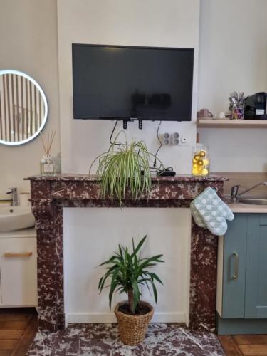 a living room with a tv above a fireplace with a plant at Le Vauban Cambrai in Cambrai