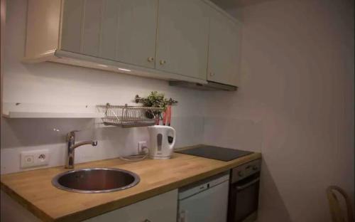 una cocina con fregadero y encimera en Studio Montaña, en Planay