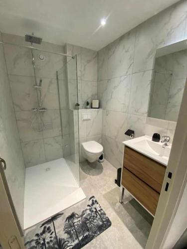 une salle de bain avec une douche, des toilettes et un lavabo dans l'établissement Studio les fontaines, à Gréoux-les-Bains