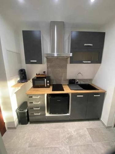 une cuisine avec un évier et un micro-ondes dans l'établissement Studio les fontaines, à Gréoux-les-Bains