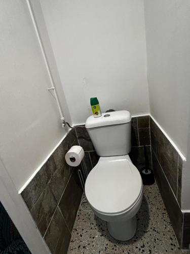 a bathroom with a white toilet in a room at chez Jean in Le Boulou
