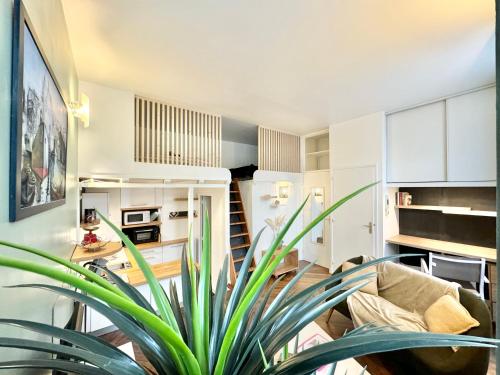 un salon avec un canapé et une plante dans l'établissement LE NOIR BOIS ET BLANC - Studio - Wifi - Centre Ville - Entrée Autonome, à Quimper