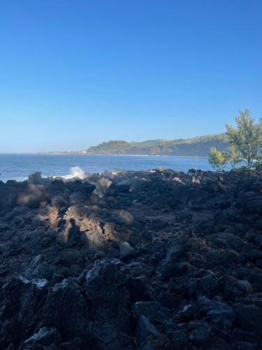 a rocky beach with the ocean in the background at Adénora in Saint-Joseph