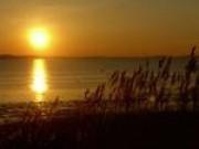 a sunset over the ocean with a group of boats at Hotel Rügen Park KG in Gingst