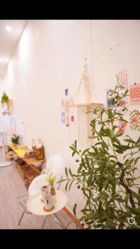 Fotografie z fotogalerie ubytování MinhomestayHaiPhong v destinaci Ðông Khê
