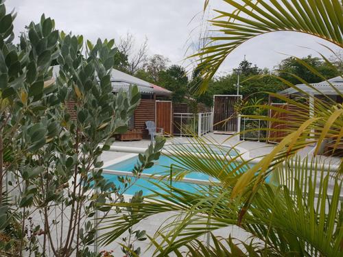 a swimming pool in a yard with plants at Les Jardins des Alizés in Saint-François