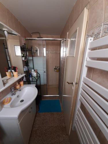 a bathroom with a shower and a sink and a toilet at Mansion Alexandri in Hydra