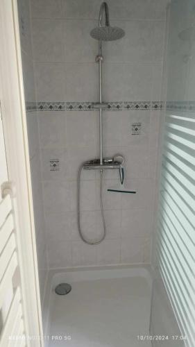 a bathroom with a shower with a bath tub at Le chalet de l'amitié in Luché-Pringé
