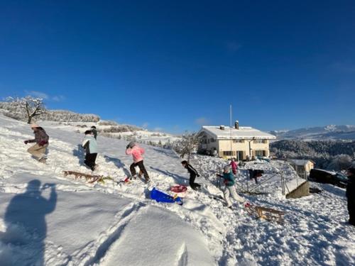 Swiss Alps en invierno