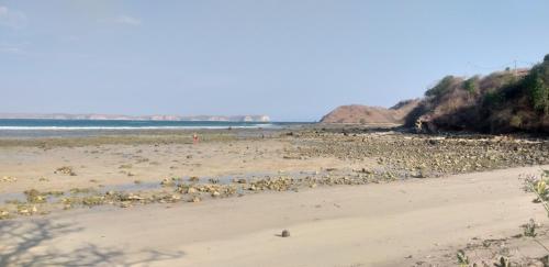 a beach with a bunch of birds on the sand at Awang Bungalows And Restaurants in Awang