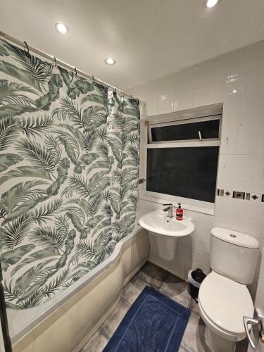 Un baño con cortina de ducha con inodoro y lavabo. en London Serviced Accommodation x RM10 x DM 4 Weekly x Monthly Deals x Sleeps 10 x FREE Parking x FREE Wifi E, en Dagenham