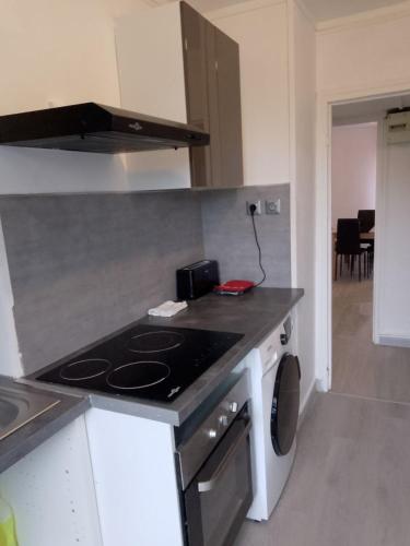 Il comprend une cuisine équipée d'une cuisinière. - un four supérieur à côté d'un lave-linge dans l'établissement Appartement avec 2 chambres Morlaix, à Morlaix