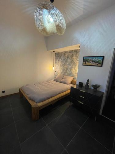 une chambre avec un lit et un lustre dans l'établissement Appart 110m2 quartier médiéval, à Clermont-Ferrand