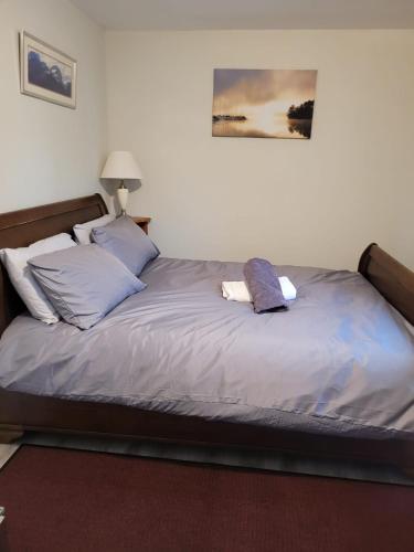a bed with two pillows on it in a bedroom at 75 Park Prewett ROOM 2 in Basingstoke