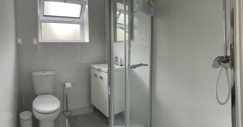 a bathroom with a toilet and a glass shower at Casa Cidalisa in Povoação