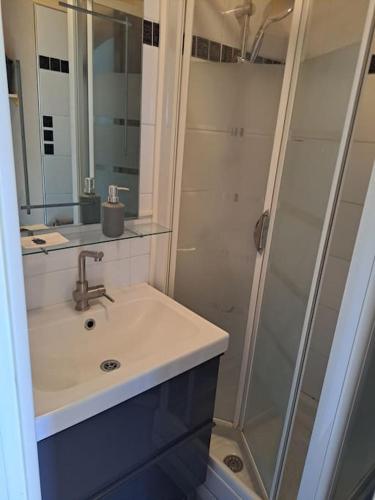 une salle de bain avec un lavabo et une douche dans l'établissement Arche de Noé 208, studio vue mer, au Cap d'Agde