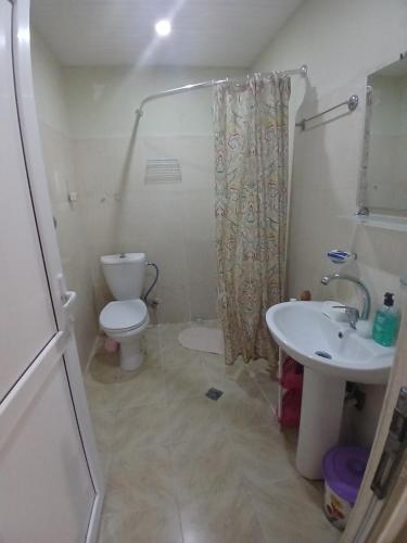 a bathroom with a toilet and a sink at уют in Rustavi