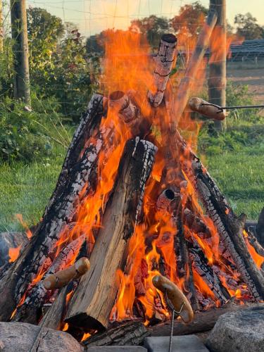 Gambar di galeri bagi Agroturystyka Kraina Choszcza di Choszczno