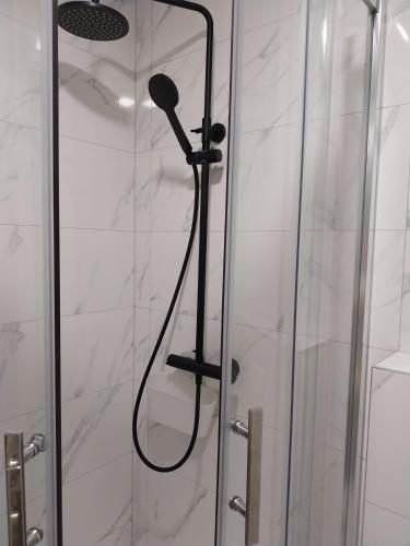 Apartment Miletic