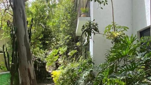 a garden outside a house with plants at Casa ideal para familias o grupos in Momoxpan